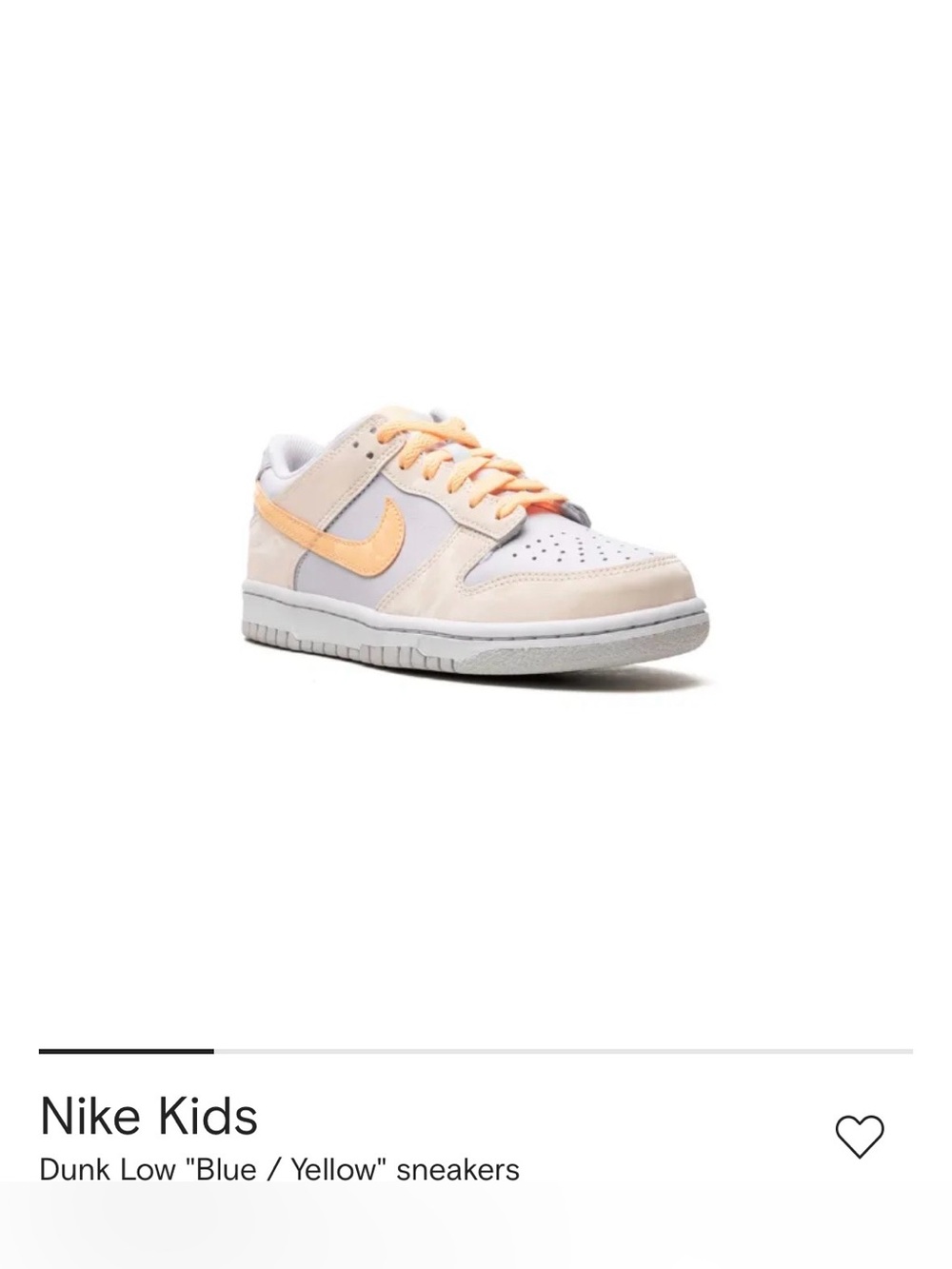 Nike Kids Dunk Low Sneakers